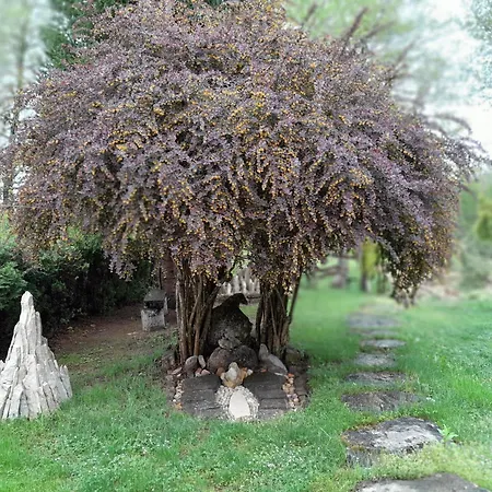 River House - Rijecna Idila Ferienhaus Cazin